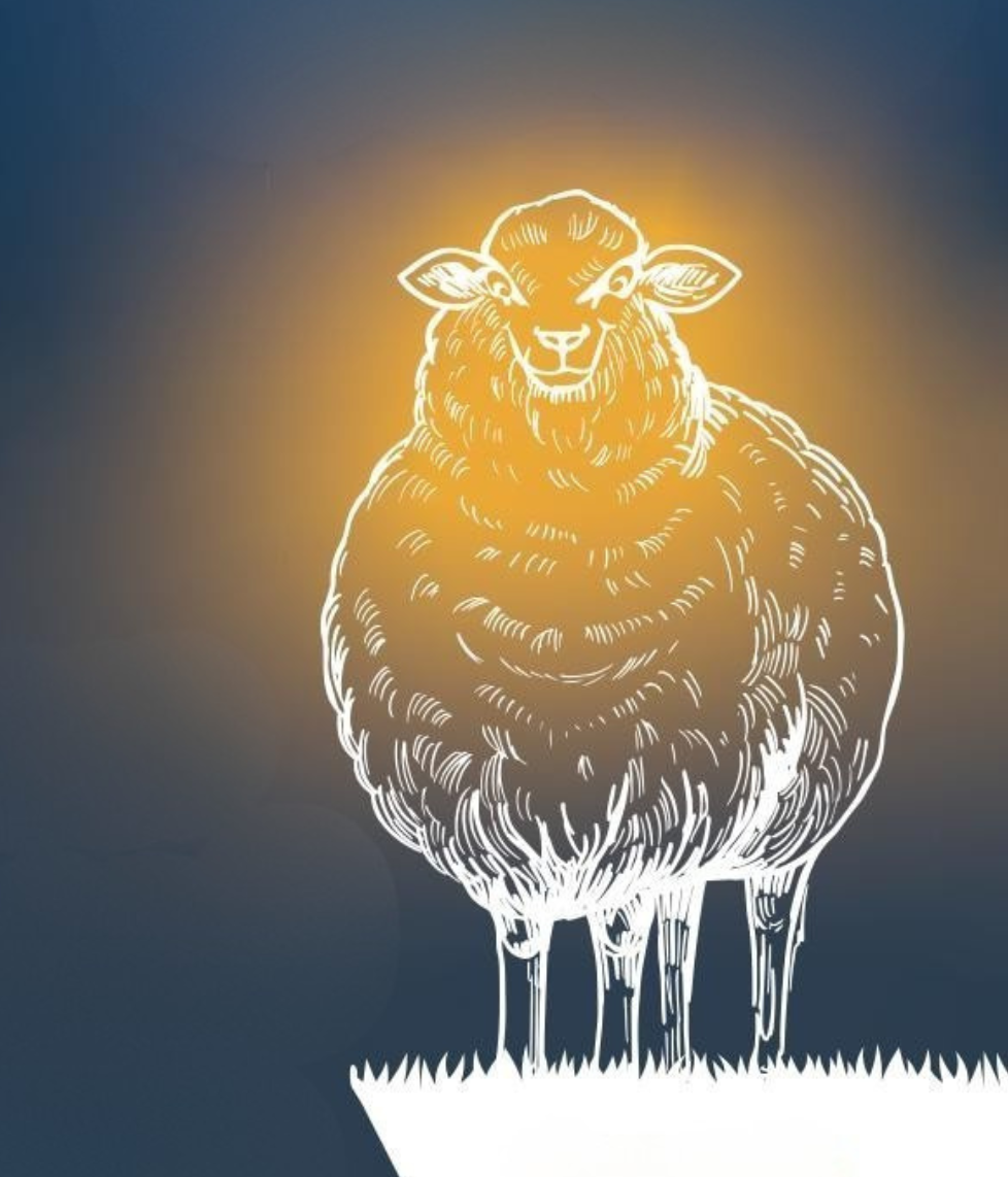 Titelbild Nordstrandkieker November