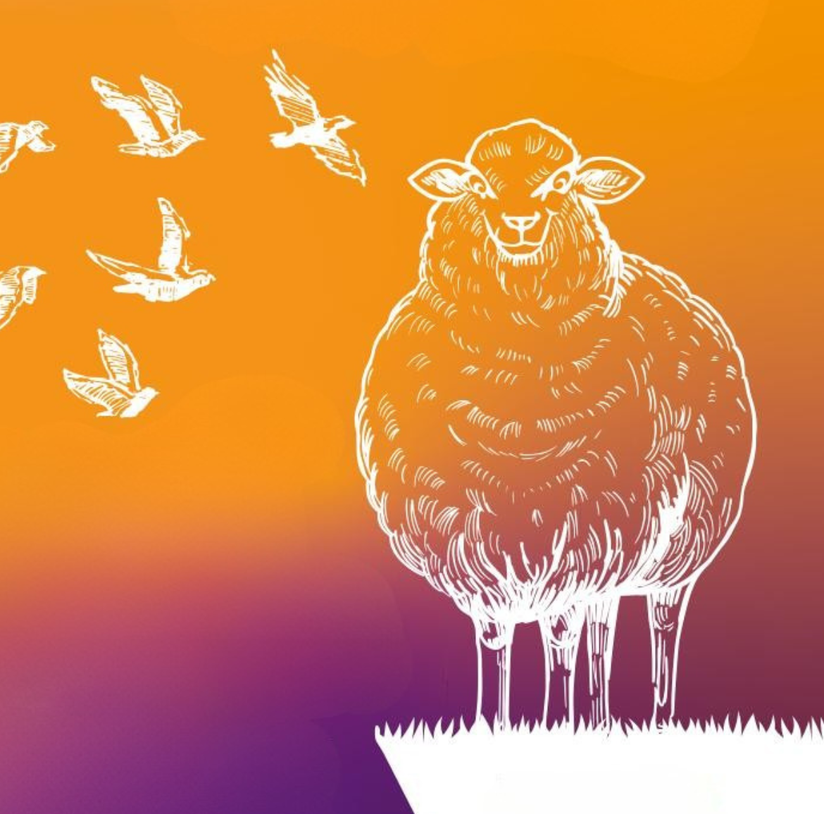 Titelbild Nordstrandkieker Mai