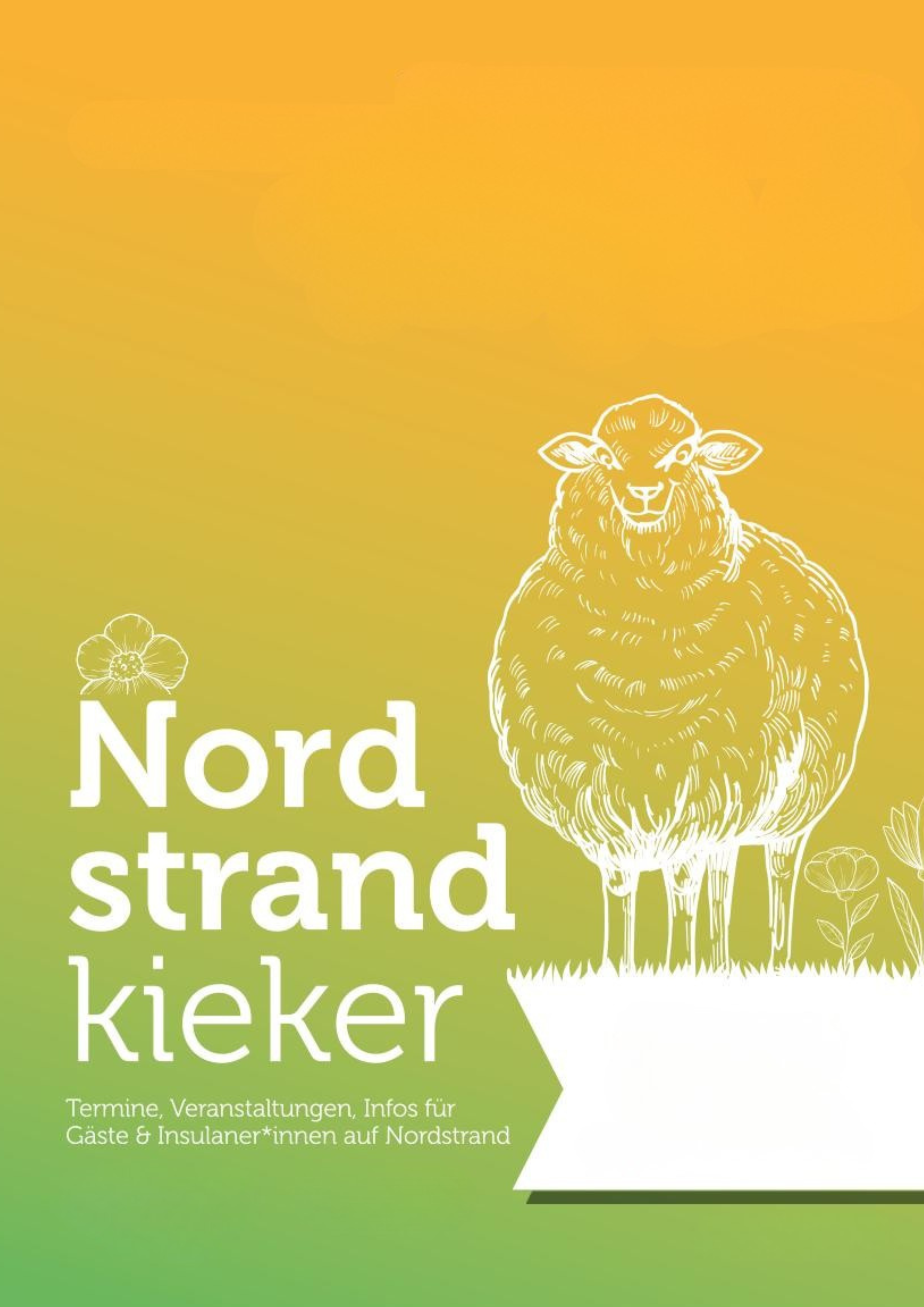 Titelbild Nordstrandkieker Juni