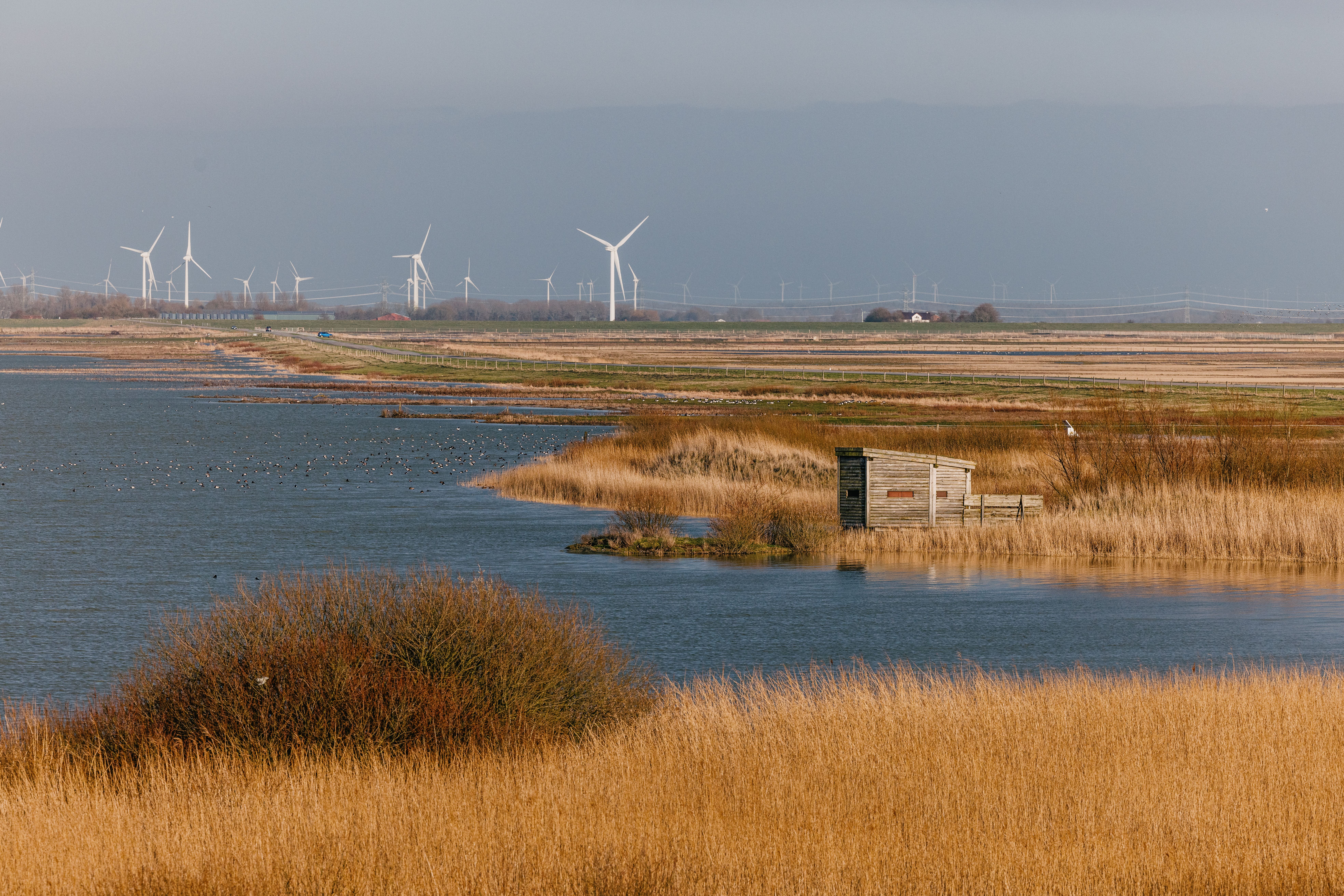 Eine Voggelbeobachtungshütte an einer Wasserfläche im Beltringharder Koof, im Hintergrund Windkraftanlagen am Horizont. 