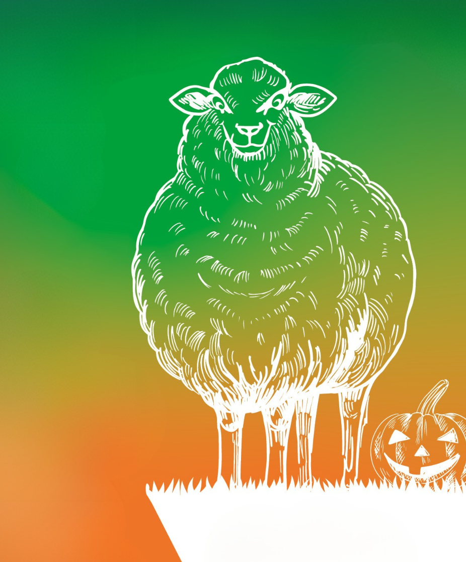 Titelbild Nordstrandkieker Oktober