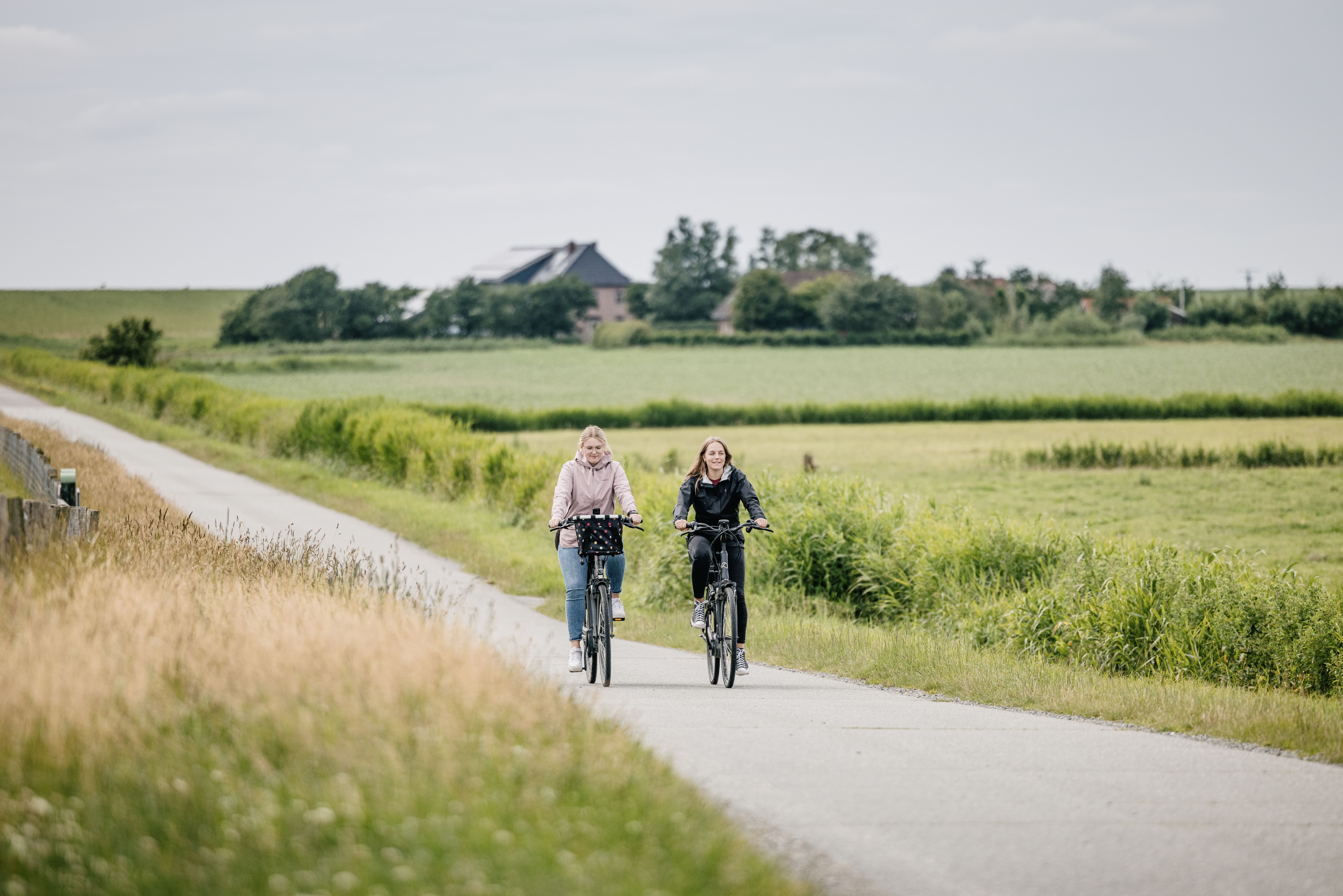 Zwei Frauen radeln auf ihren Rädern auf einer Straße entlang von Wiesen. 
