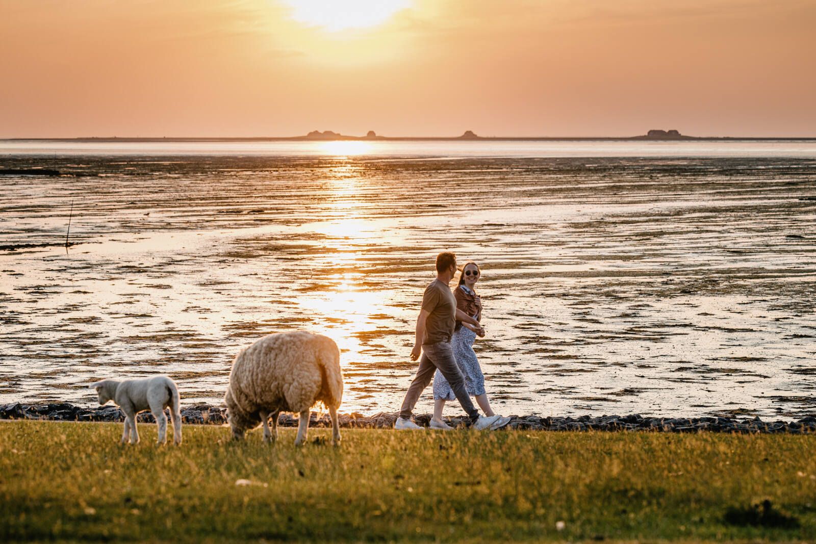 Ein Paar spaziert am Deich bei Sonnenuntergang, im Hintergrund Hallig Nordstrandischmoor.