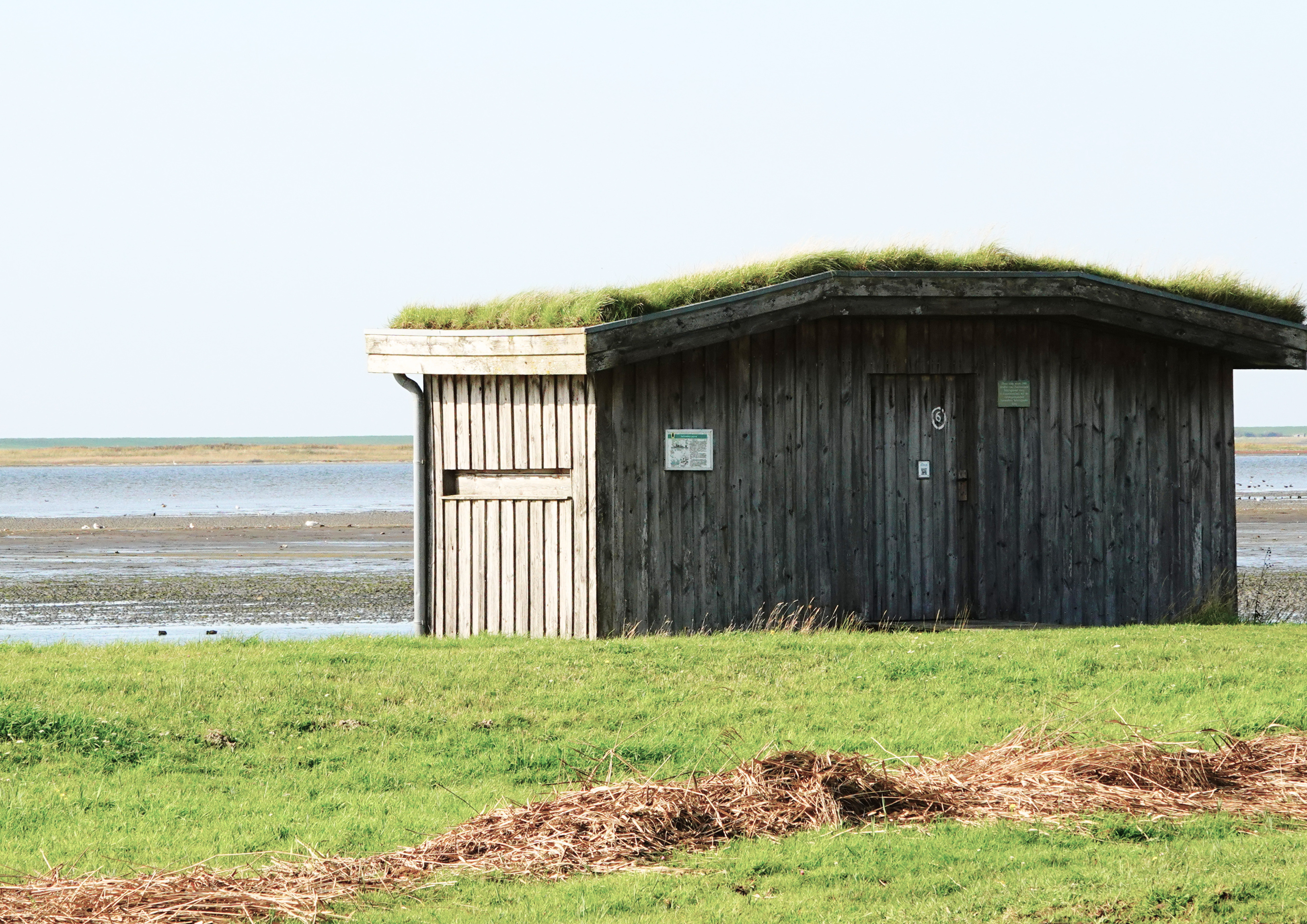 Eine Vogelbeobachtungshütte am Beltringharder Koog. 