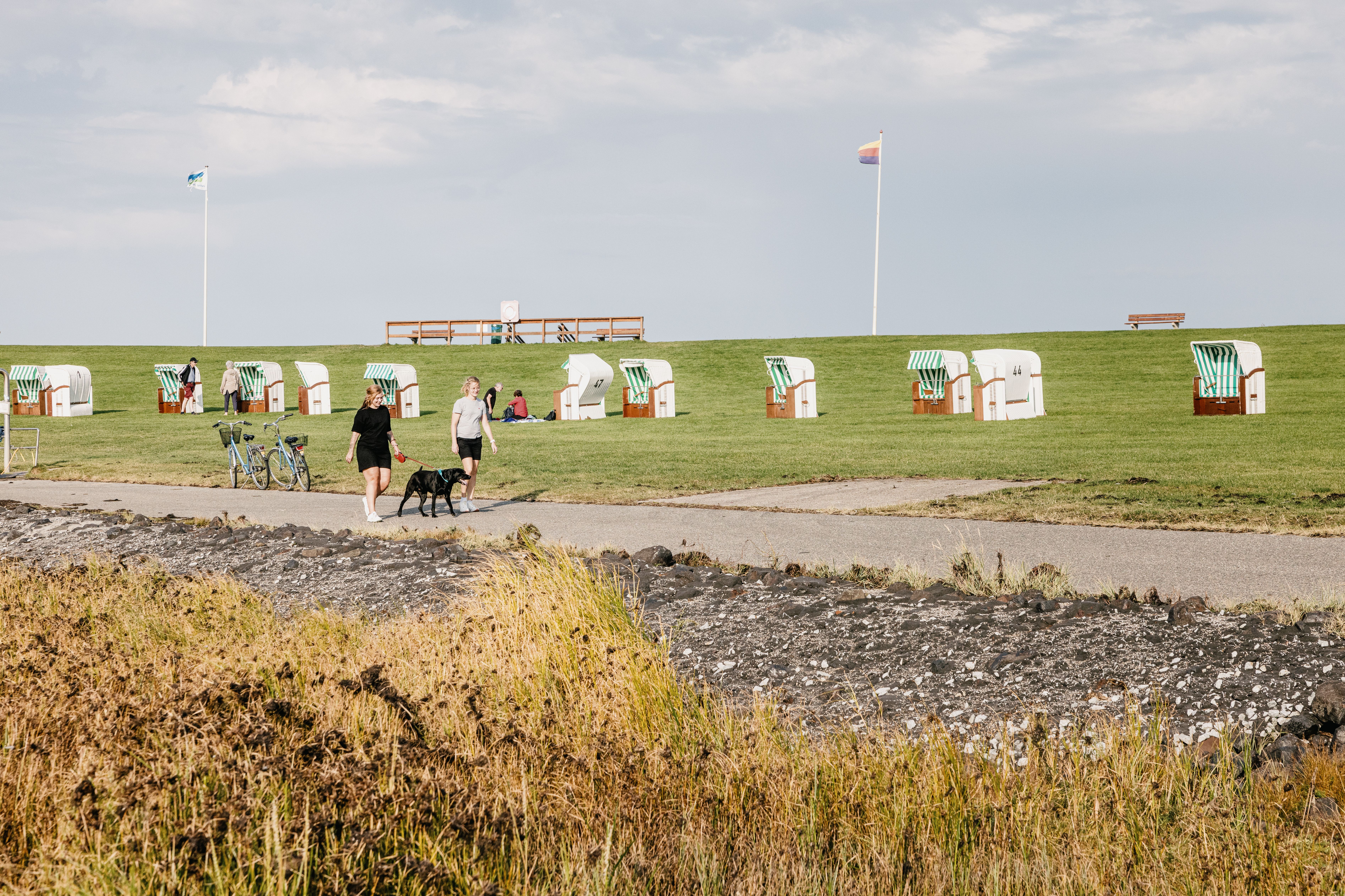 Zwei Frauen mit Hund laufen am Deich, im Hintergrund stehen Strandkörbe im Gras. 