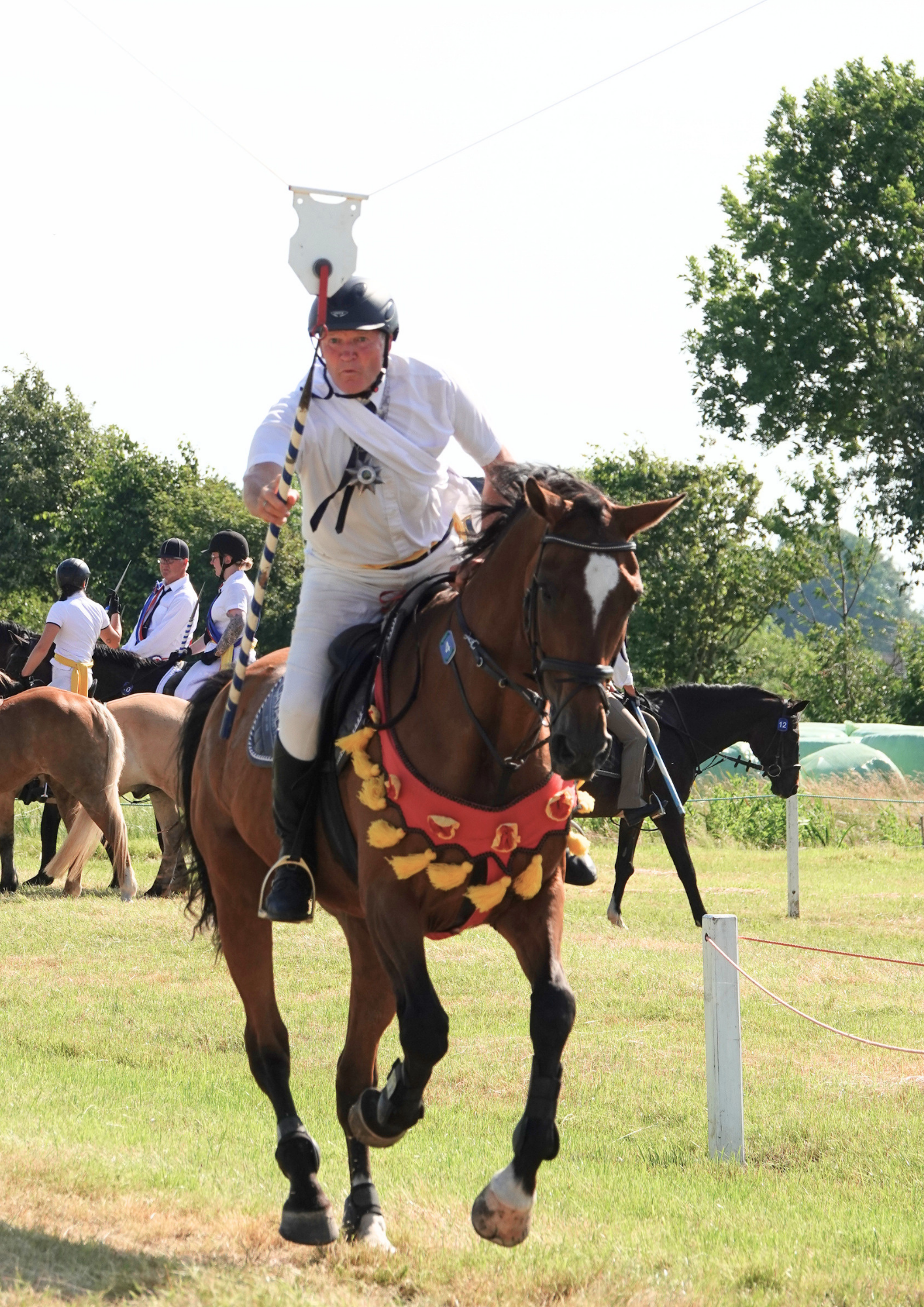 Ein Ringreiter in Action. 