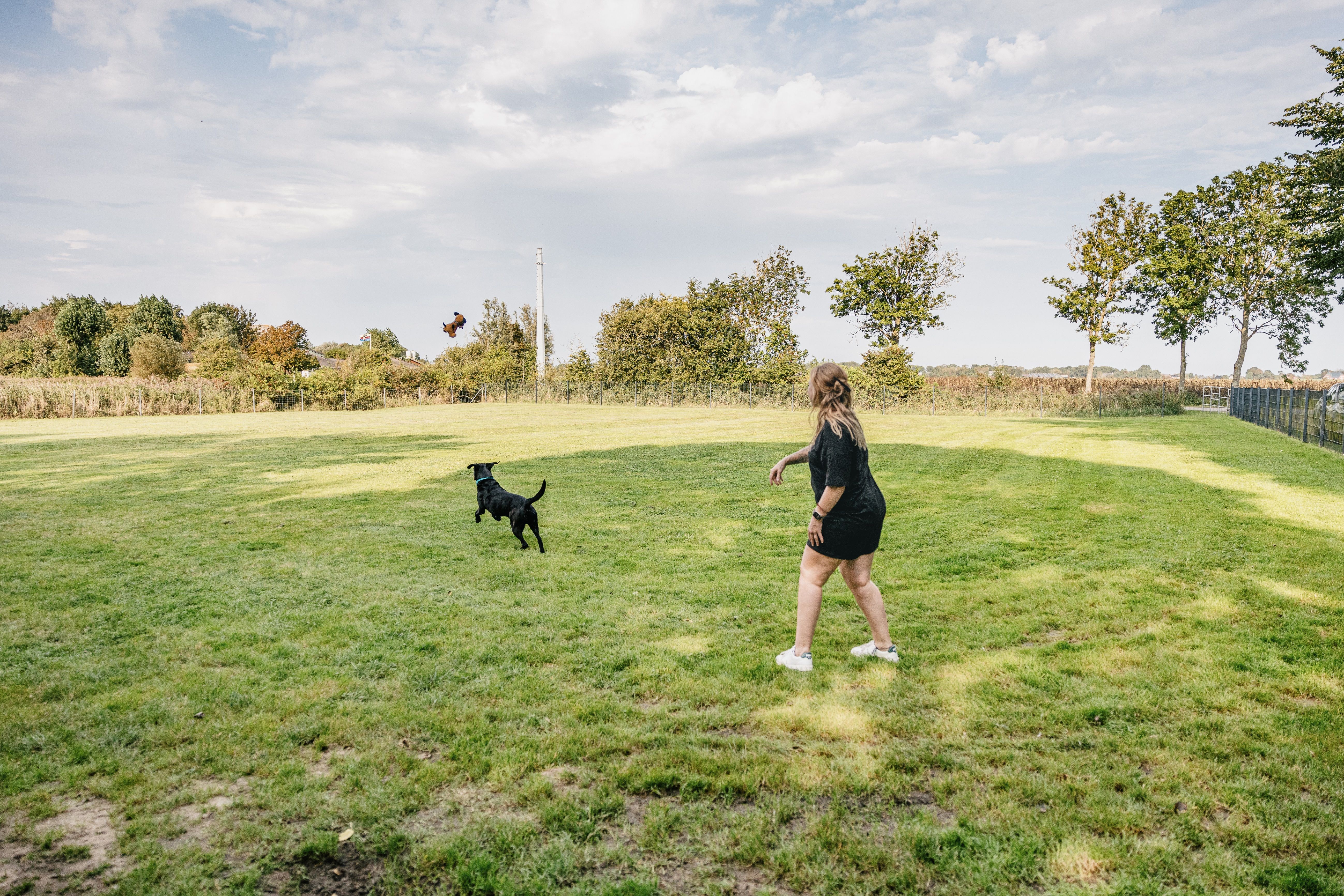 Eine Frau wirft ihrem schwarzen Hund ein Spielzeug zu. 