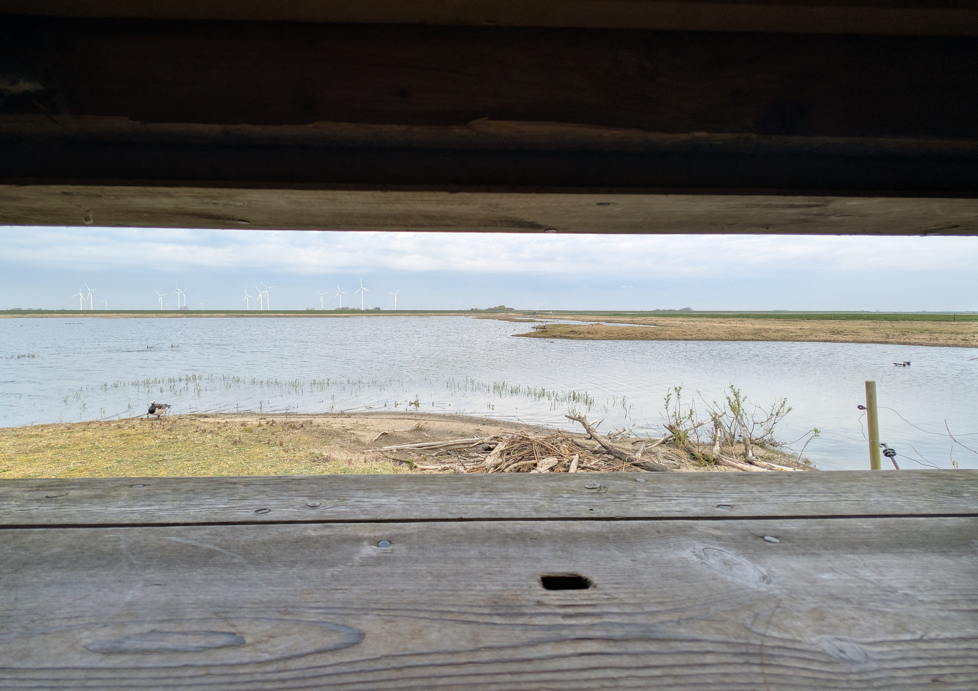 Blick aus einer Vogelbeobachtungshütte am Beltringharder Koog.