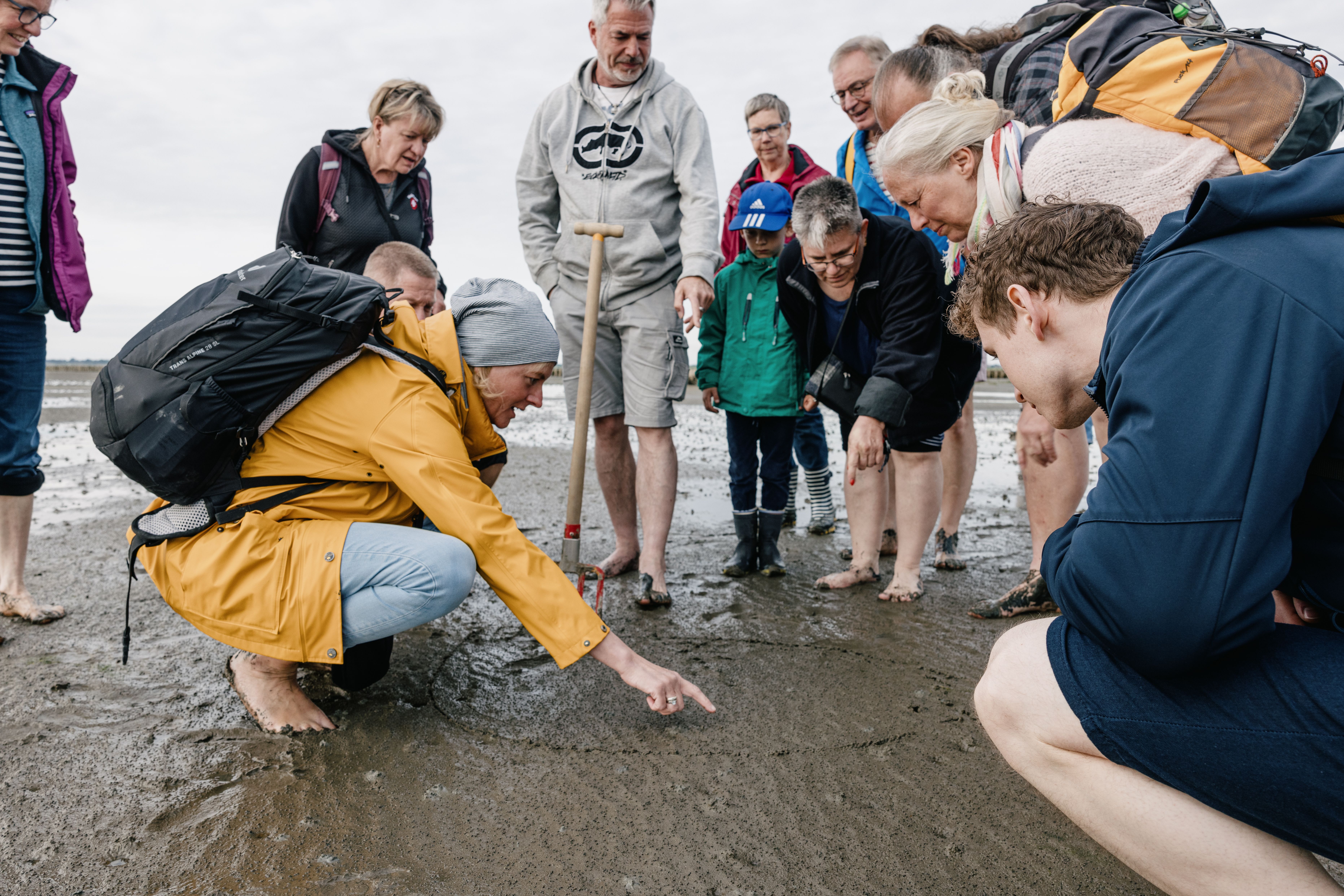 Eine Frau zeigt einer Gruppe etwas im Watt.