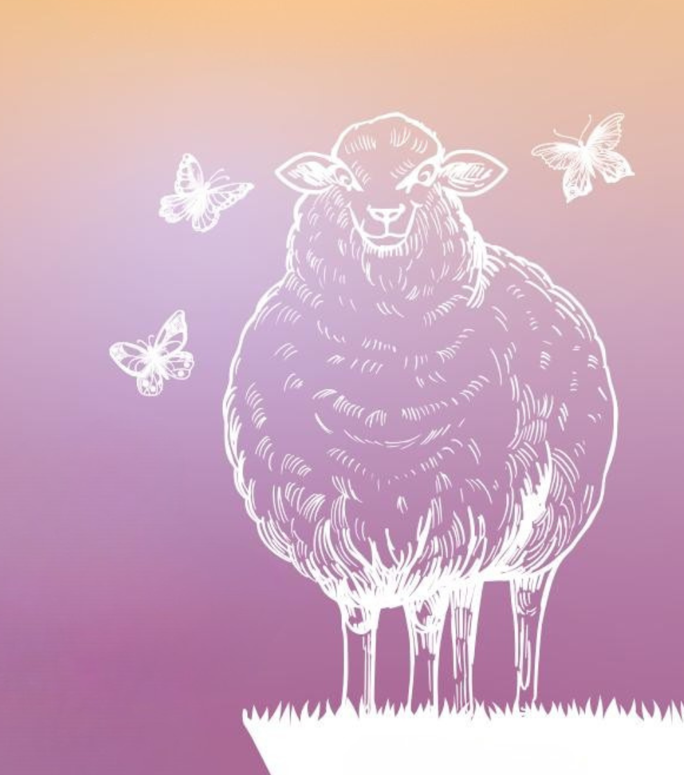 Titelbild Nordstrandkieker März