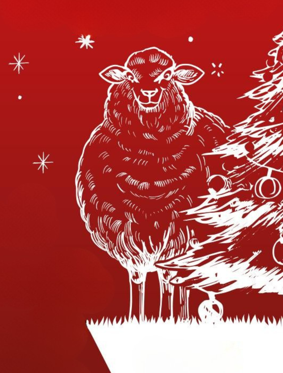 Titelbild Nordstrandkieker Dezember