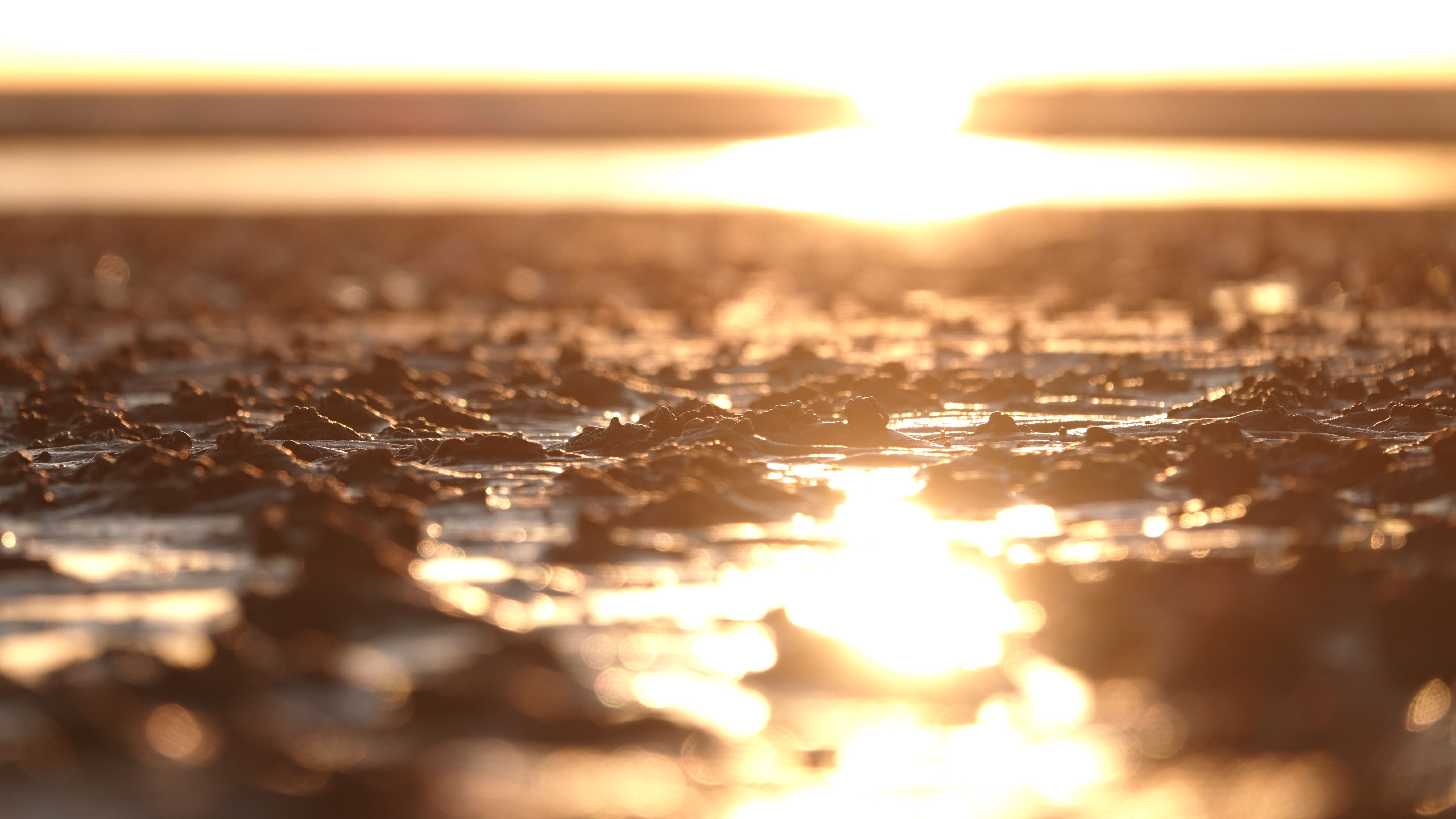 Hügel vom Wattwurm im Sonnenuntergang