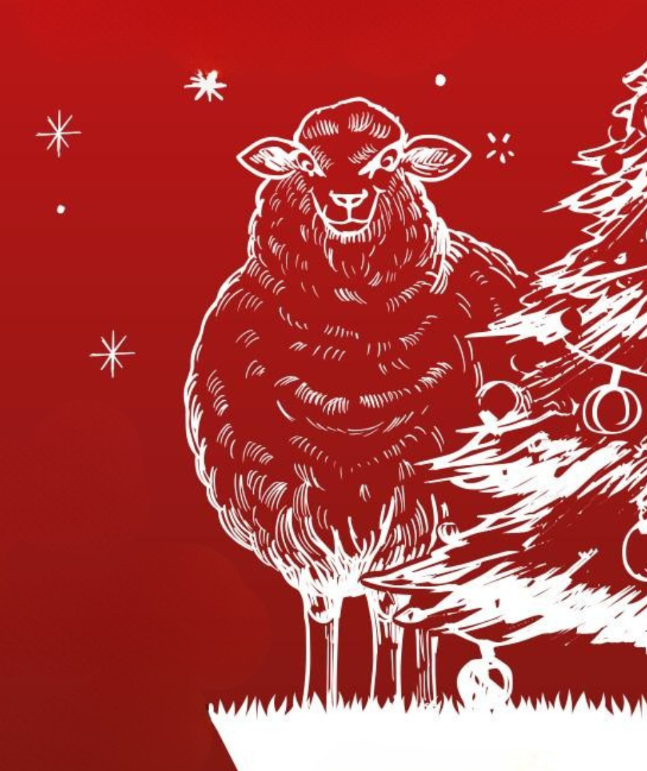 Titelbild Nordstrandkieker Dezember