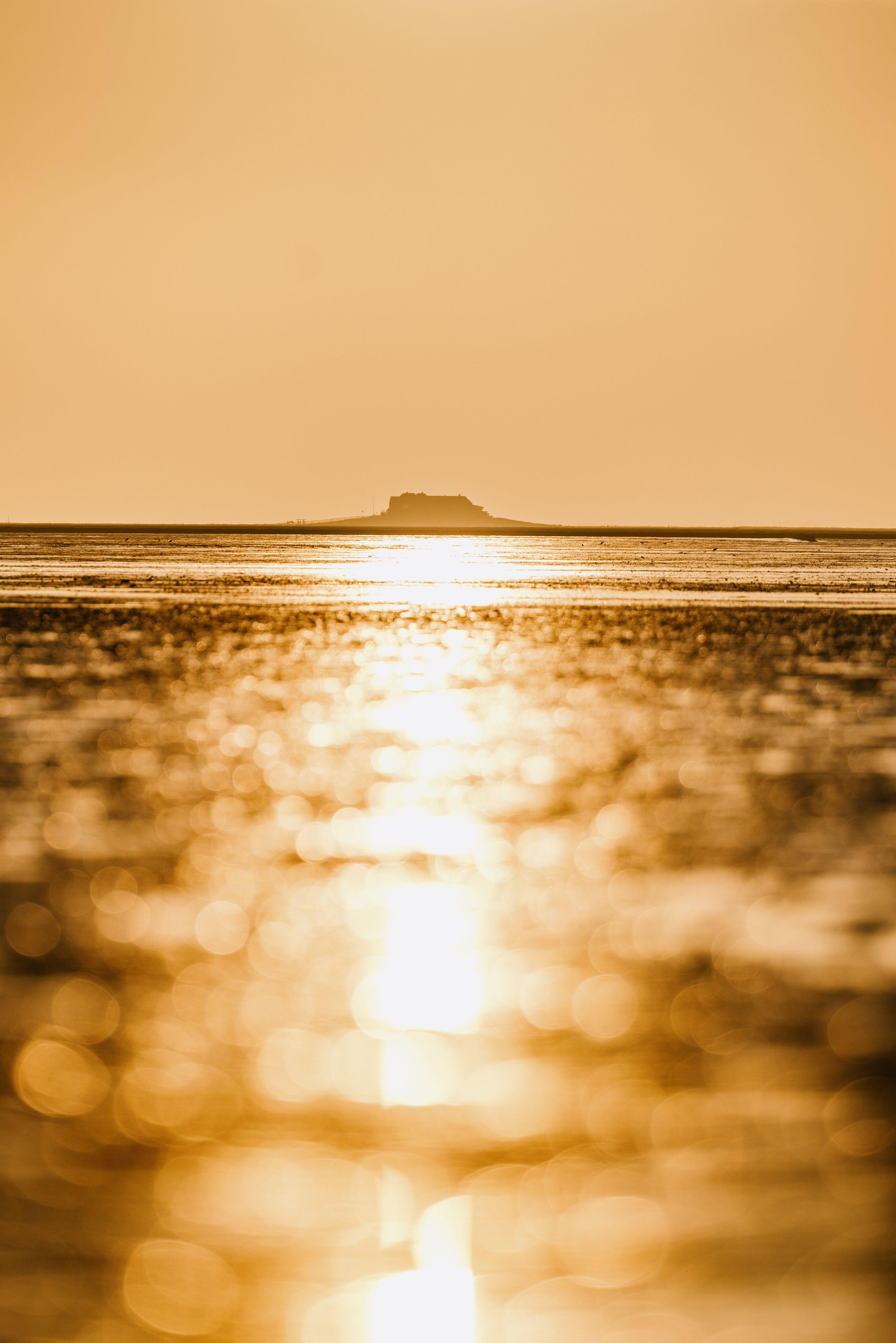Sonnenuntergang bei Niedrigwasser mit Blick auf eine Hallig. 
