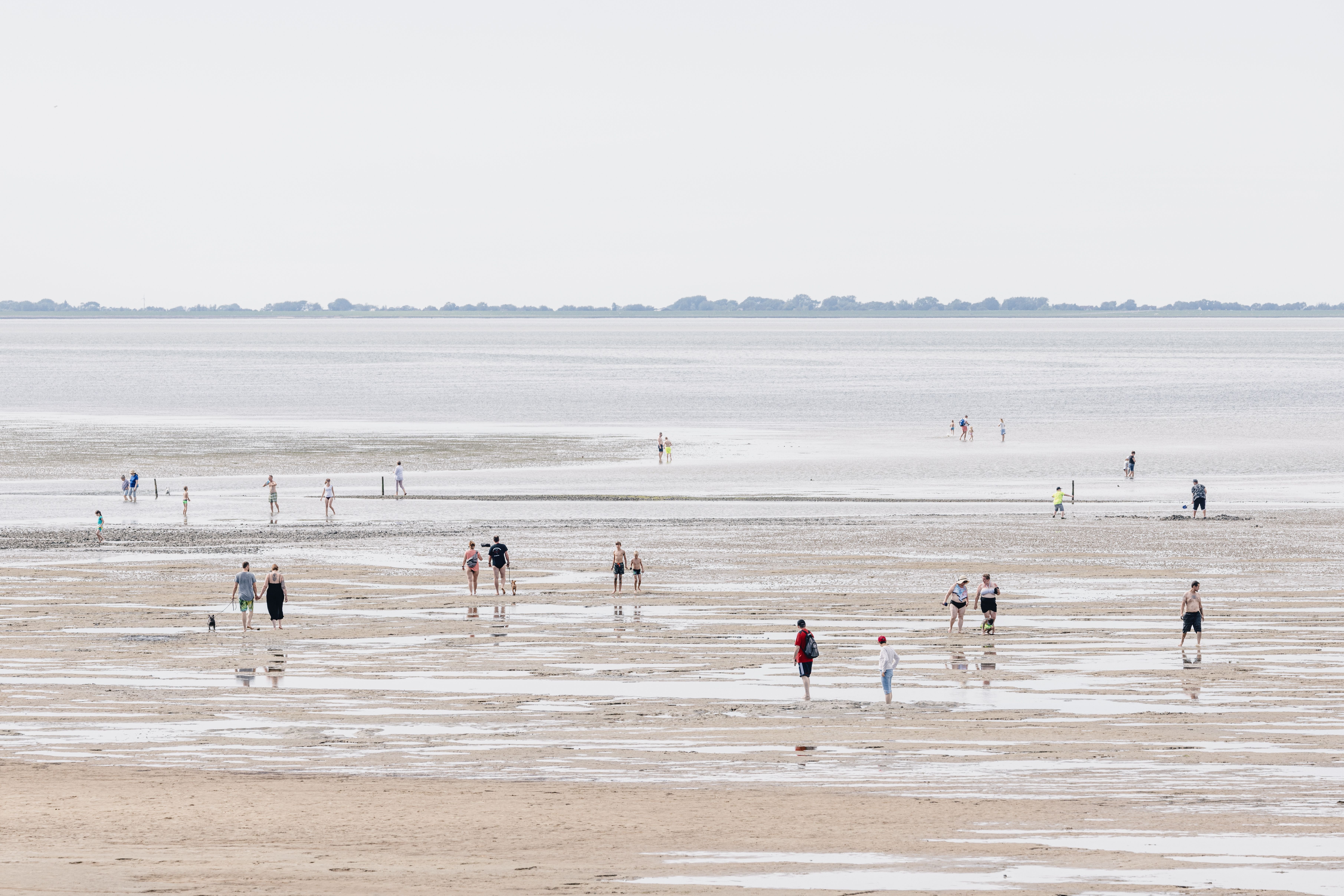 Menschen laufen im Watt bei Niedrigwasser. 