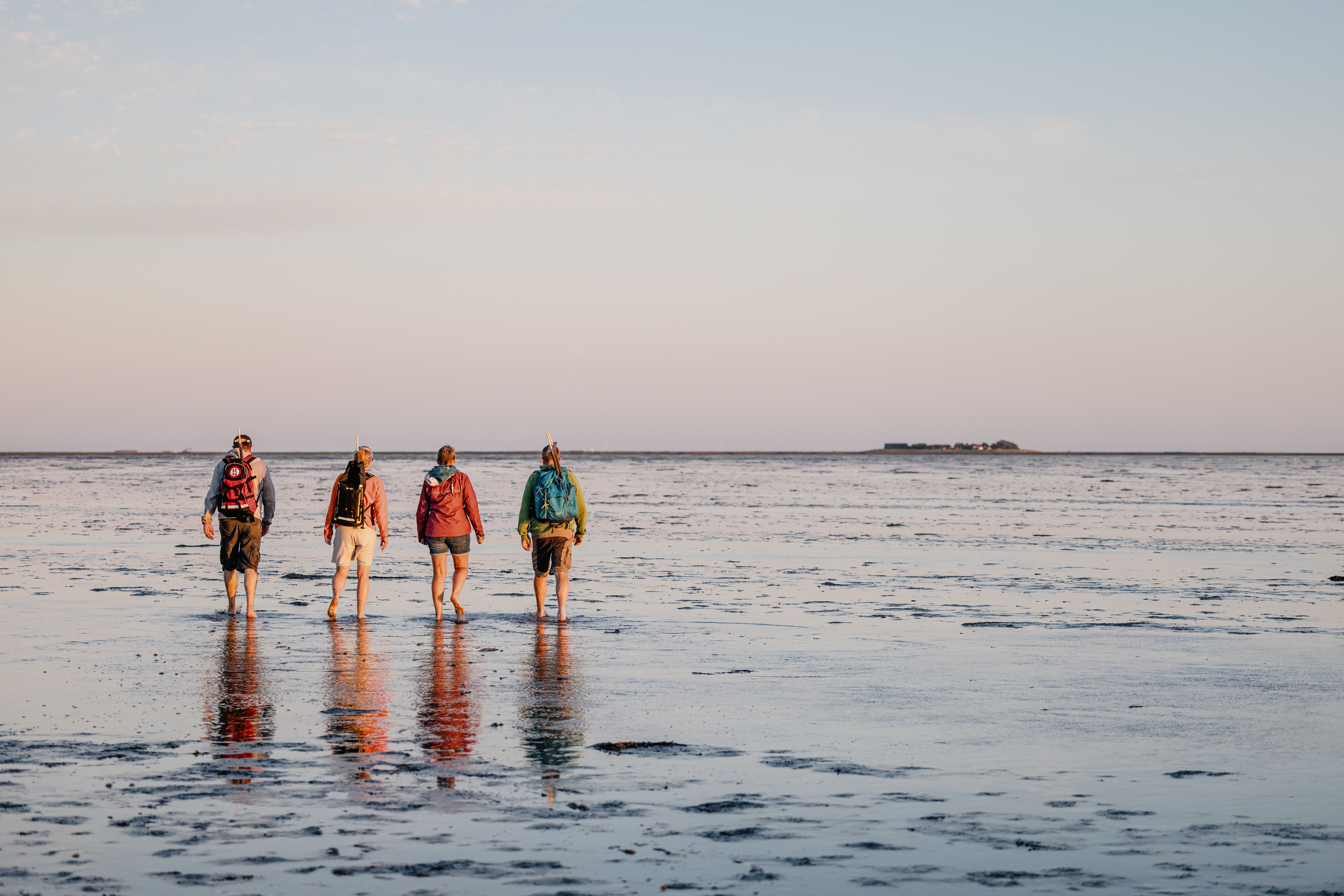 Vier Personen laufen bei Sonnenuntergang durchs Watt.