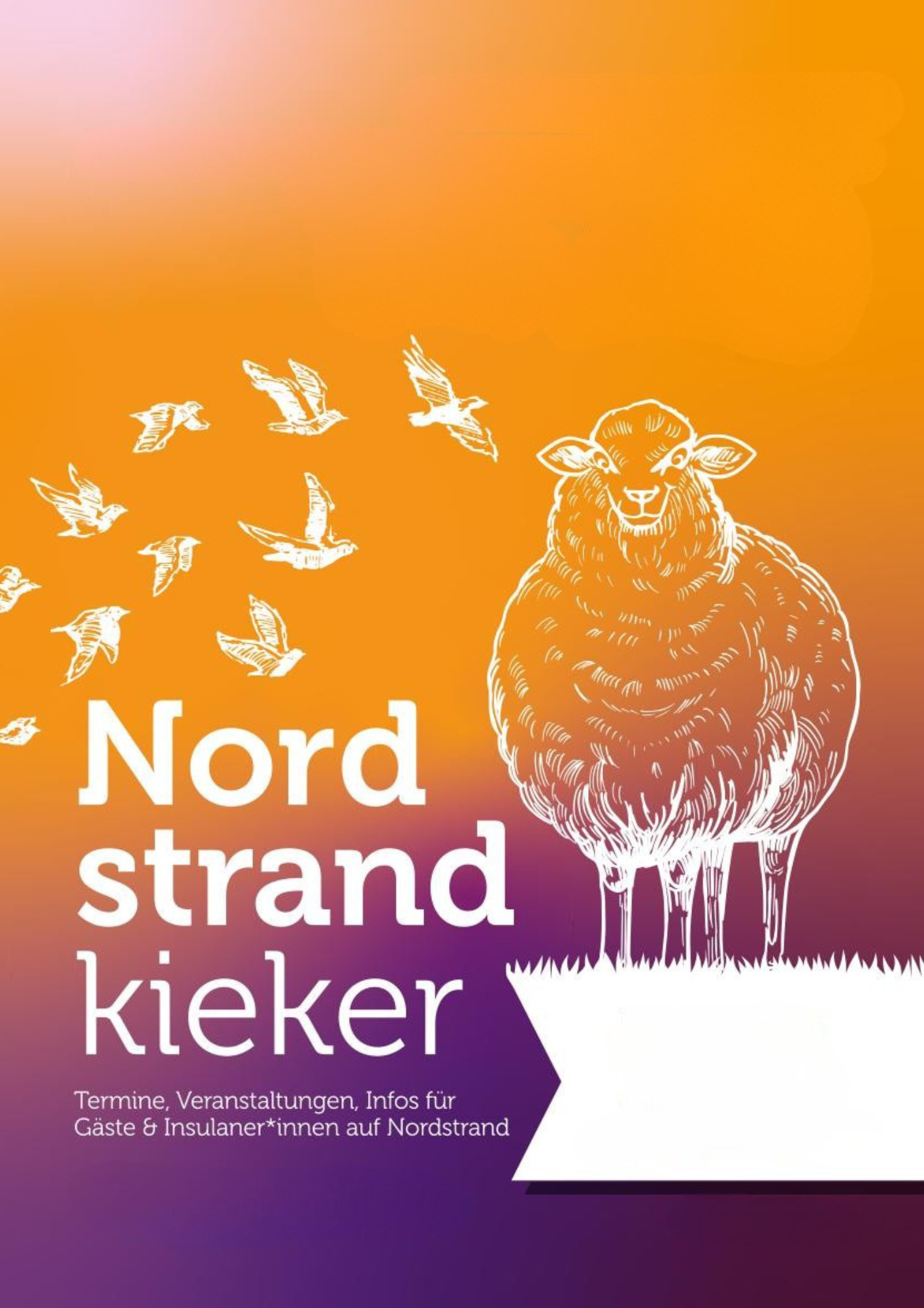 Titelbild des Nordstrandkiekers Mai