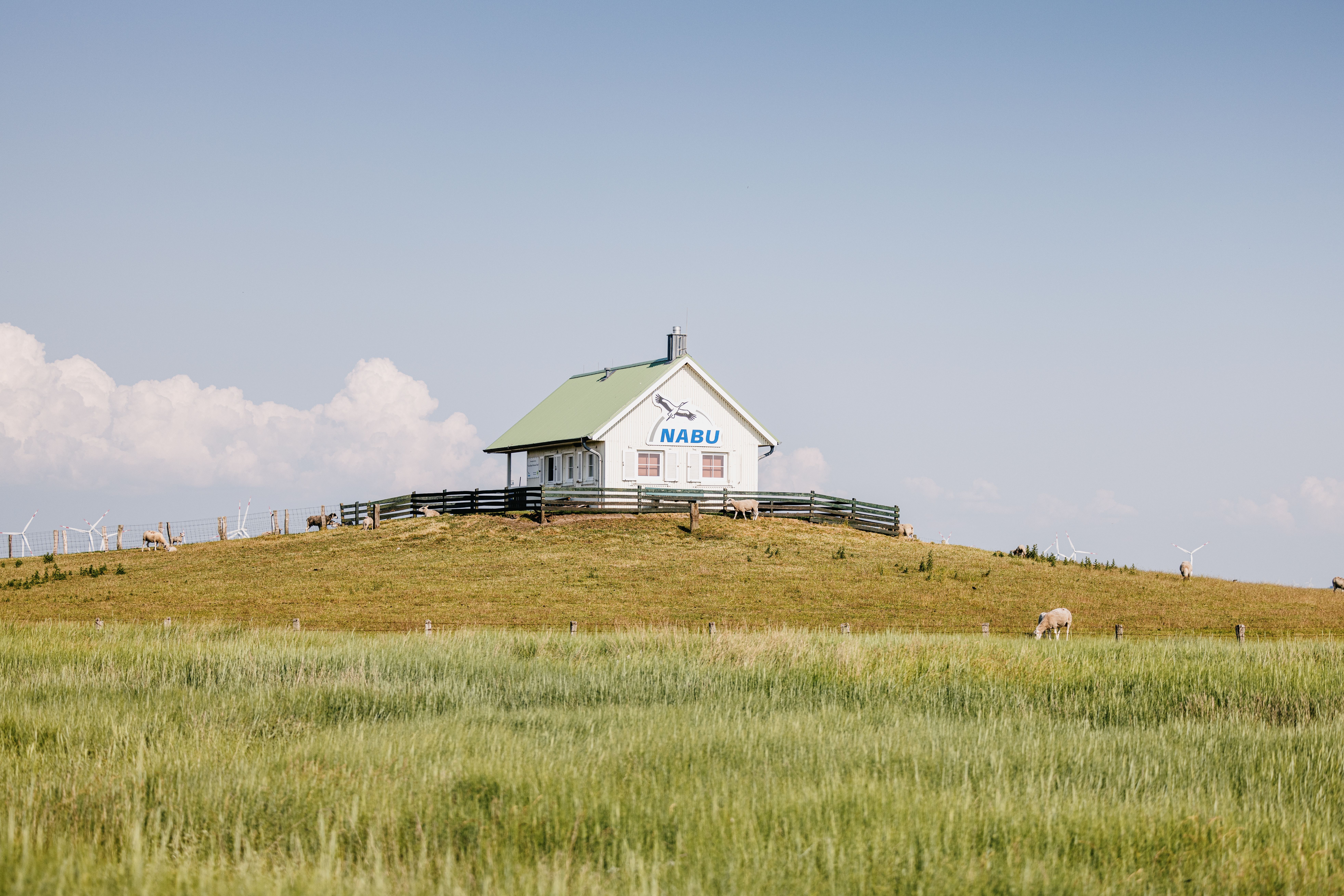 Nordfriesland_Reußenköge_MR_230618_598