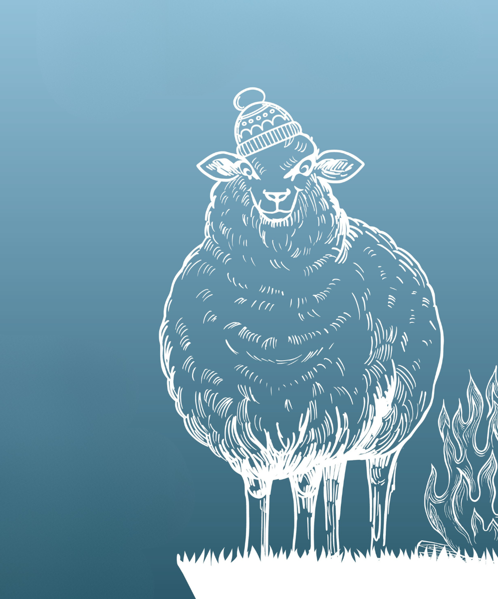 Titelbild Nordstrandkieker Januar/ Februar