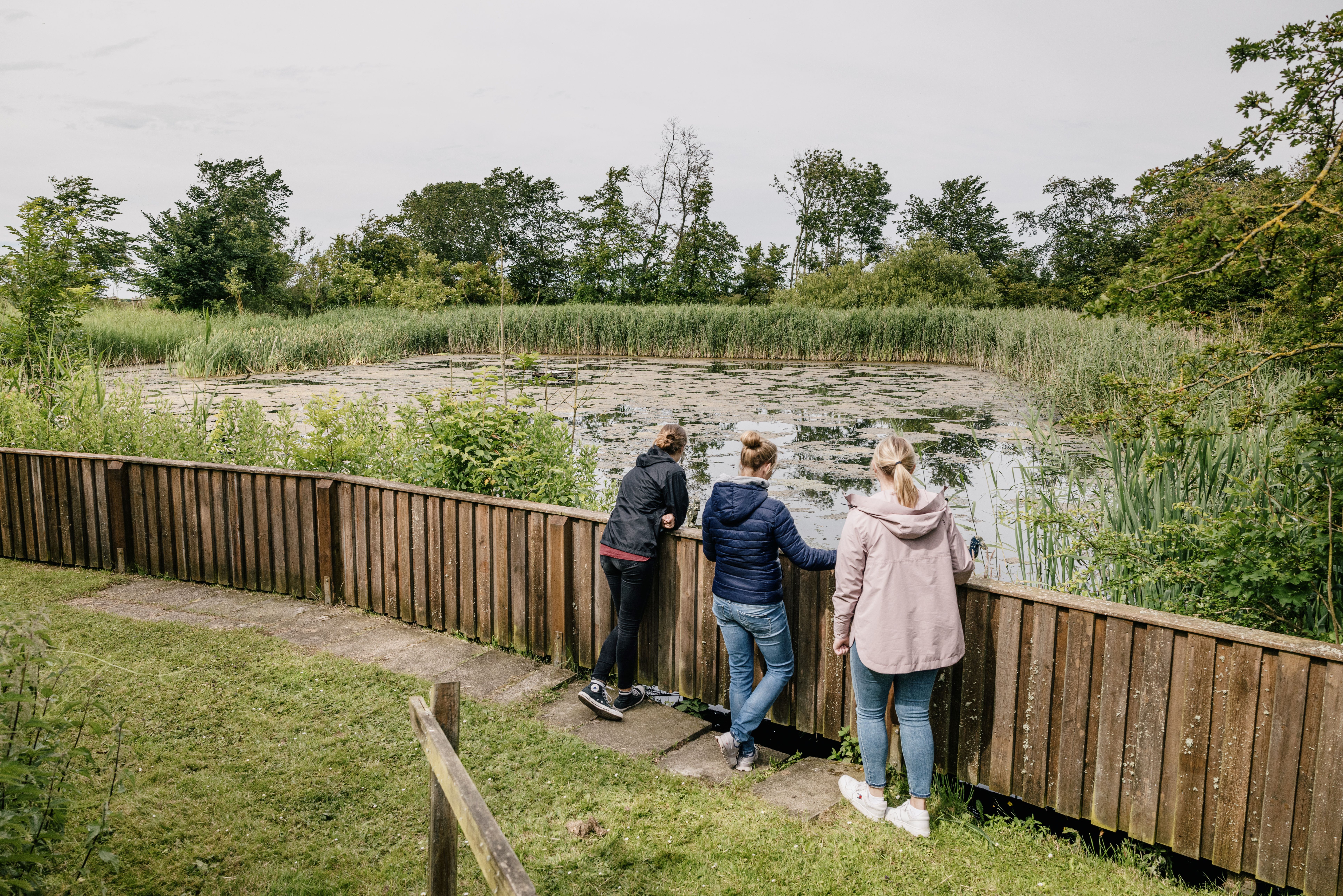 Drei Frauen sehen sich den Teich bei der Vogelkoje auf Nordstrand an. Verlinkung auf Unterseite "Vogelkoje Nordstrand".