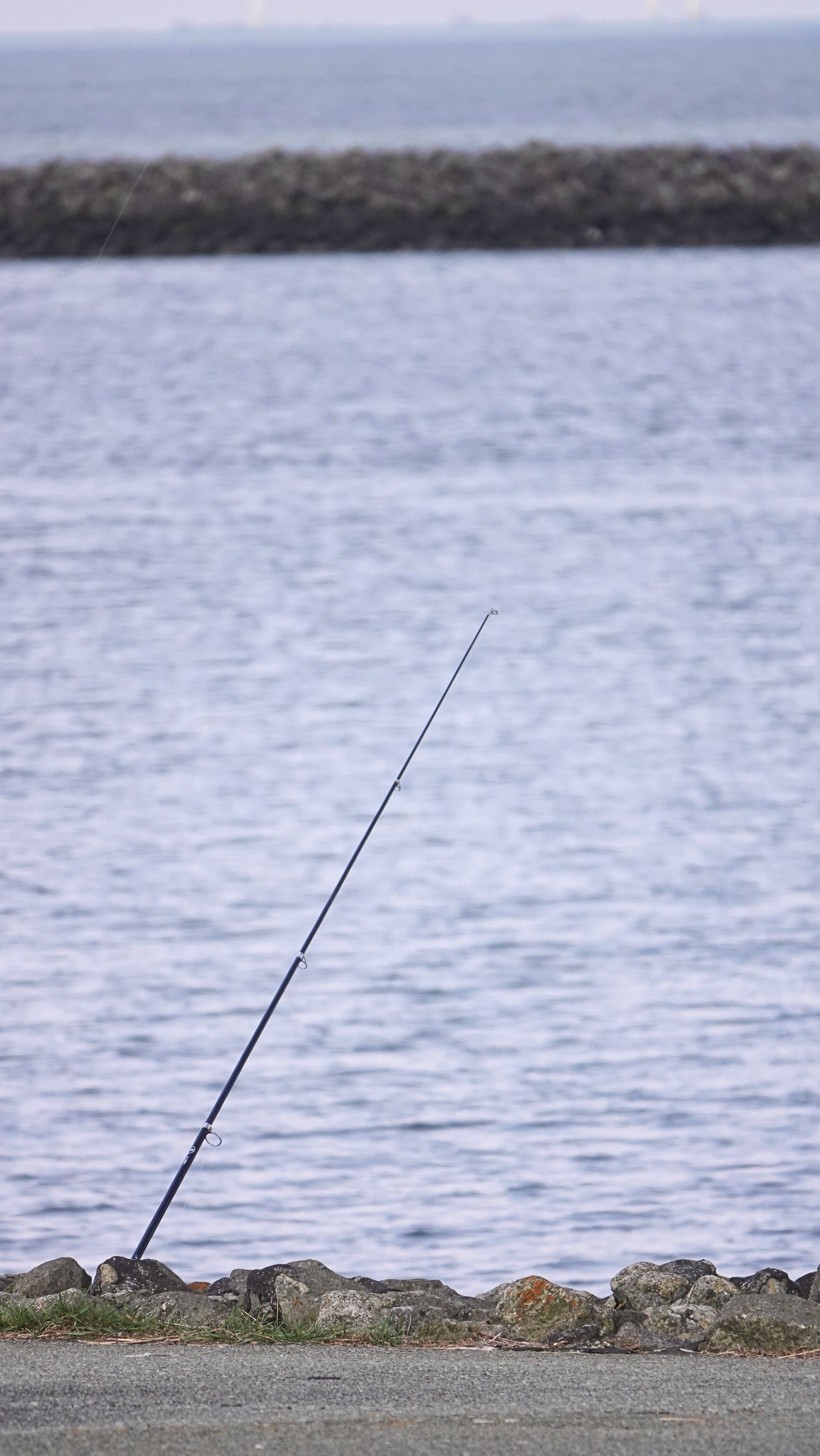 Eine Angelrute steht am Deich an der Nordsee,