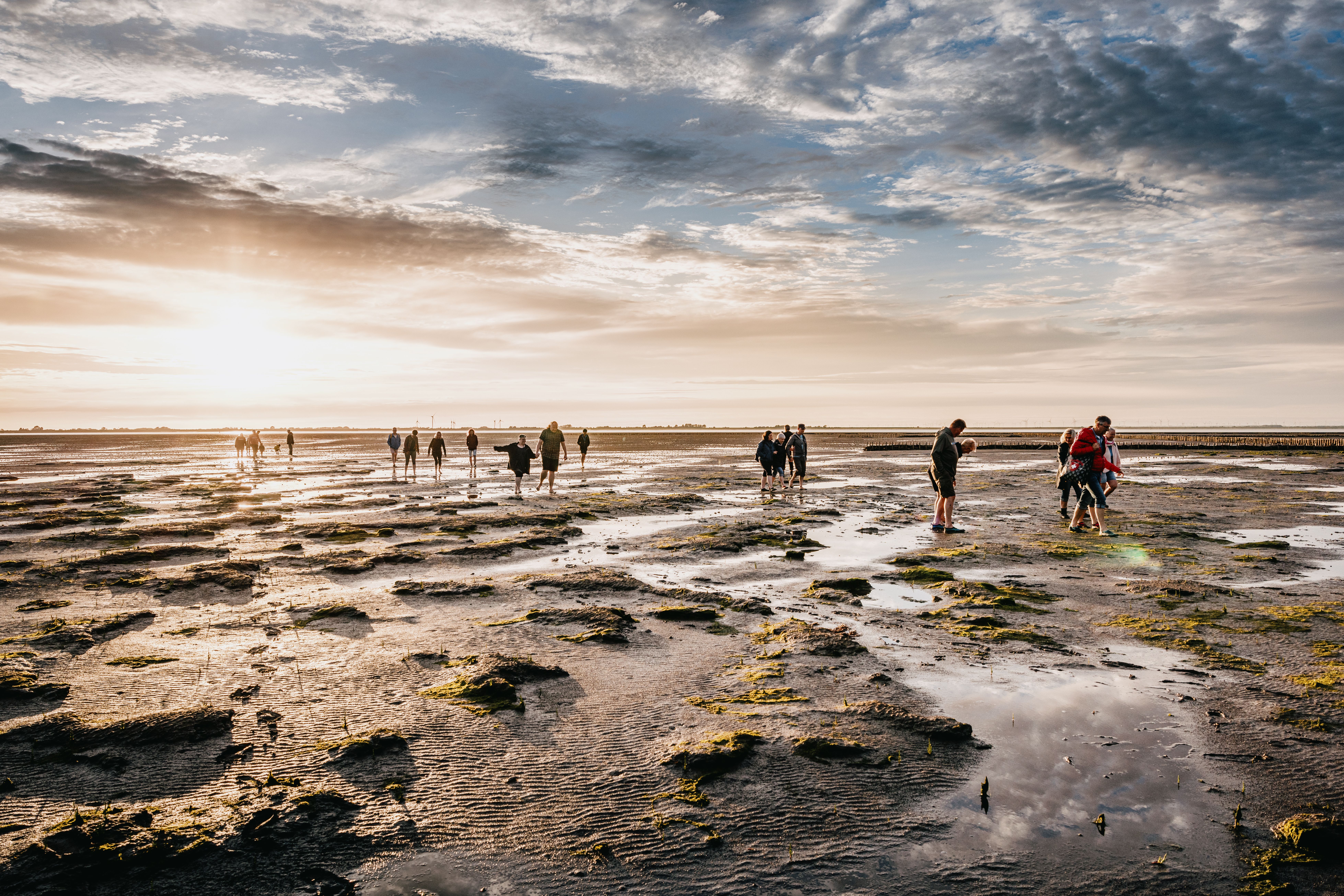 Eine Gruppe Wattwanderer im Watt bei Sonnenuntergang.