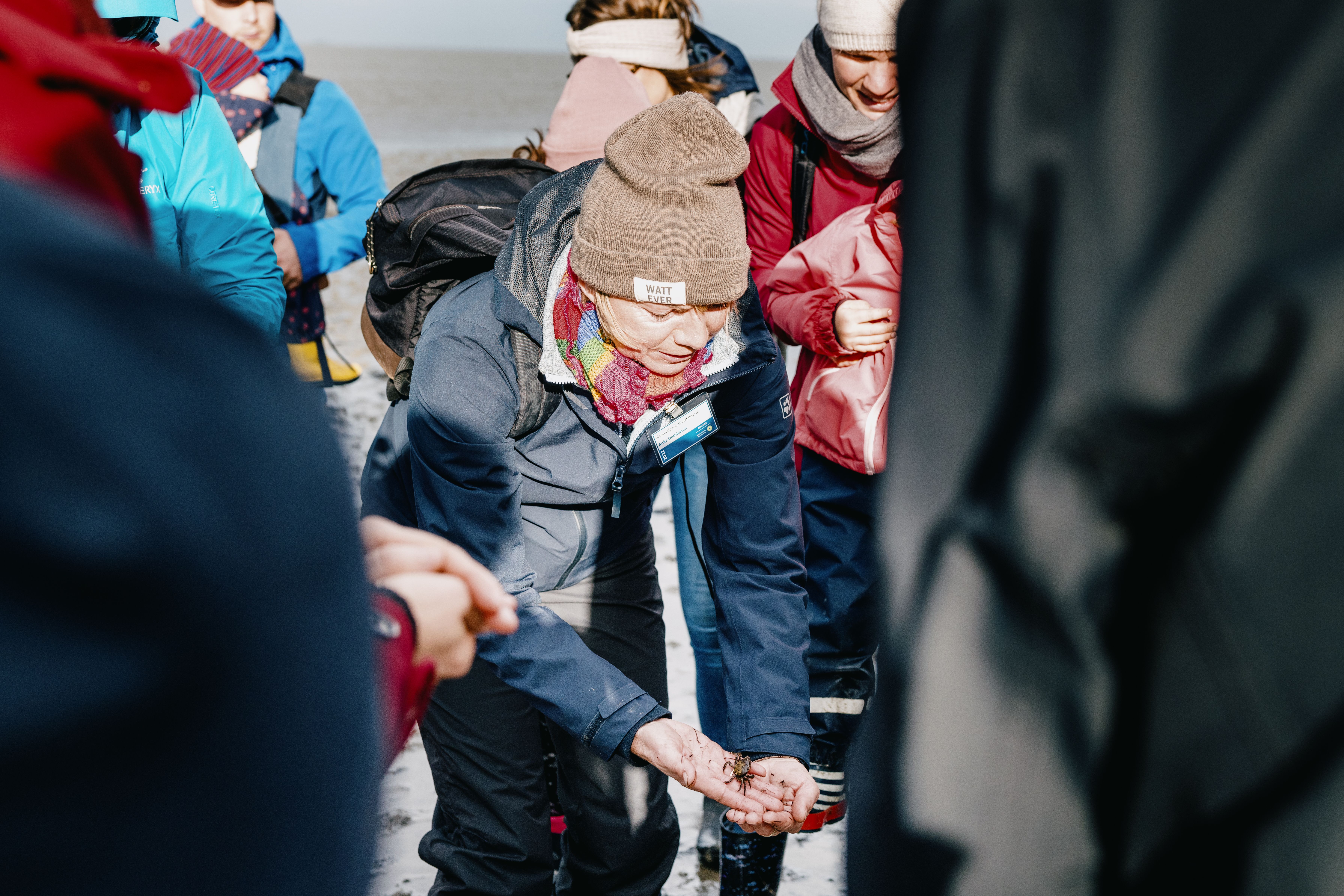 Eine Wattführerin zeigt einer Gruppe Menschen eine Krabbe. Verlinkung auf Unterseite "Geführte Touren". 