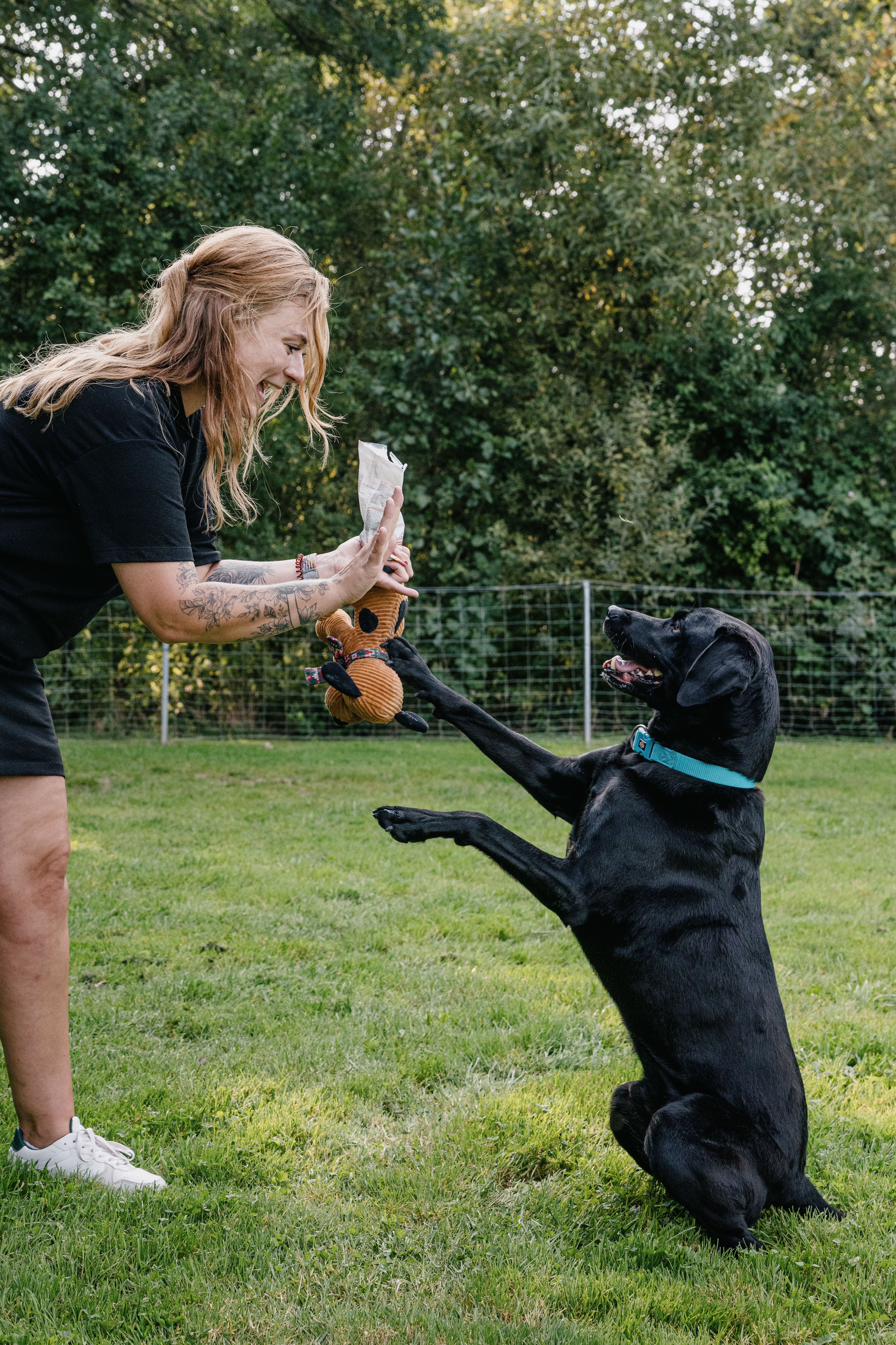 Ein dunkler Hund gibt einer Frau Pfötchen. 