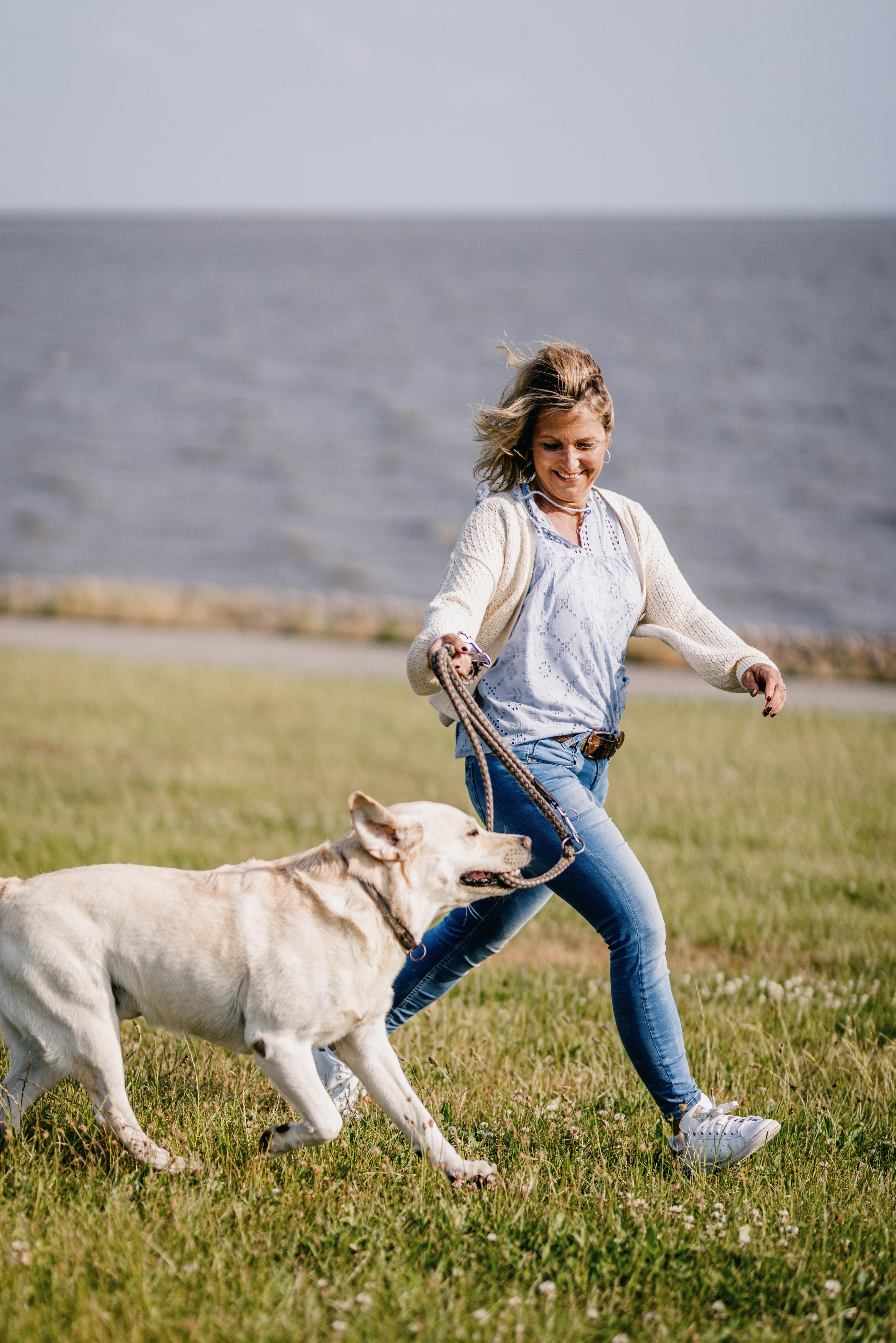 Eine Frau spaziert mit ihrem Hund an der Leine über eine Wiese. Verlinkung auf Unterseite "Urlaub mit Hund".