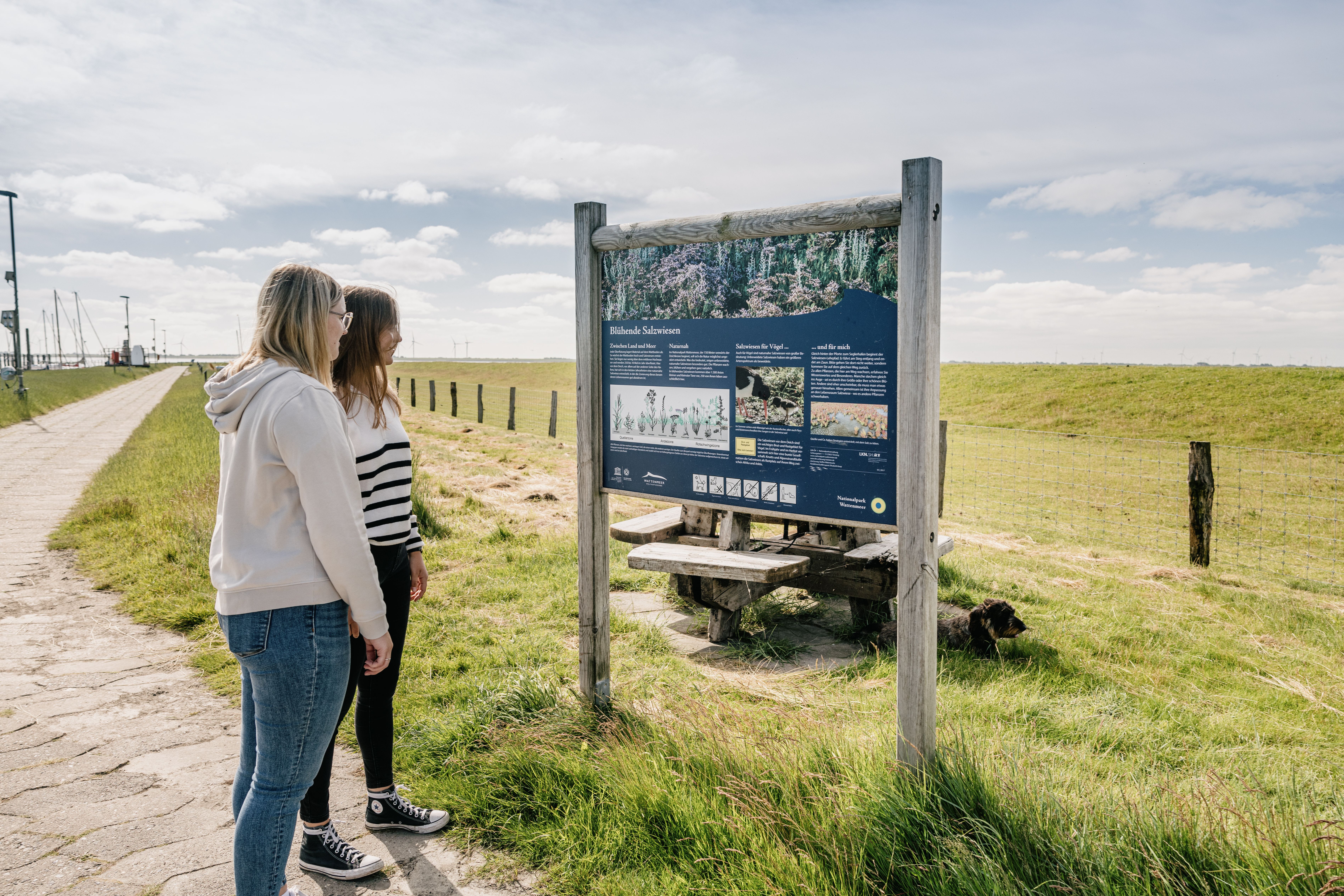 Zwei Frauen stehen vor einem Informationsschild zum Thema "Salzwiesen". 