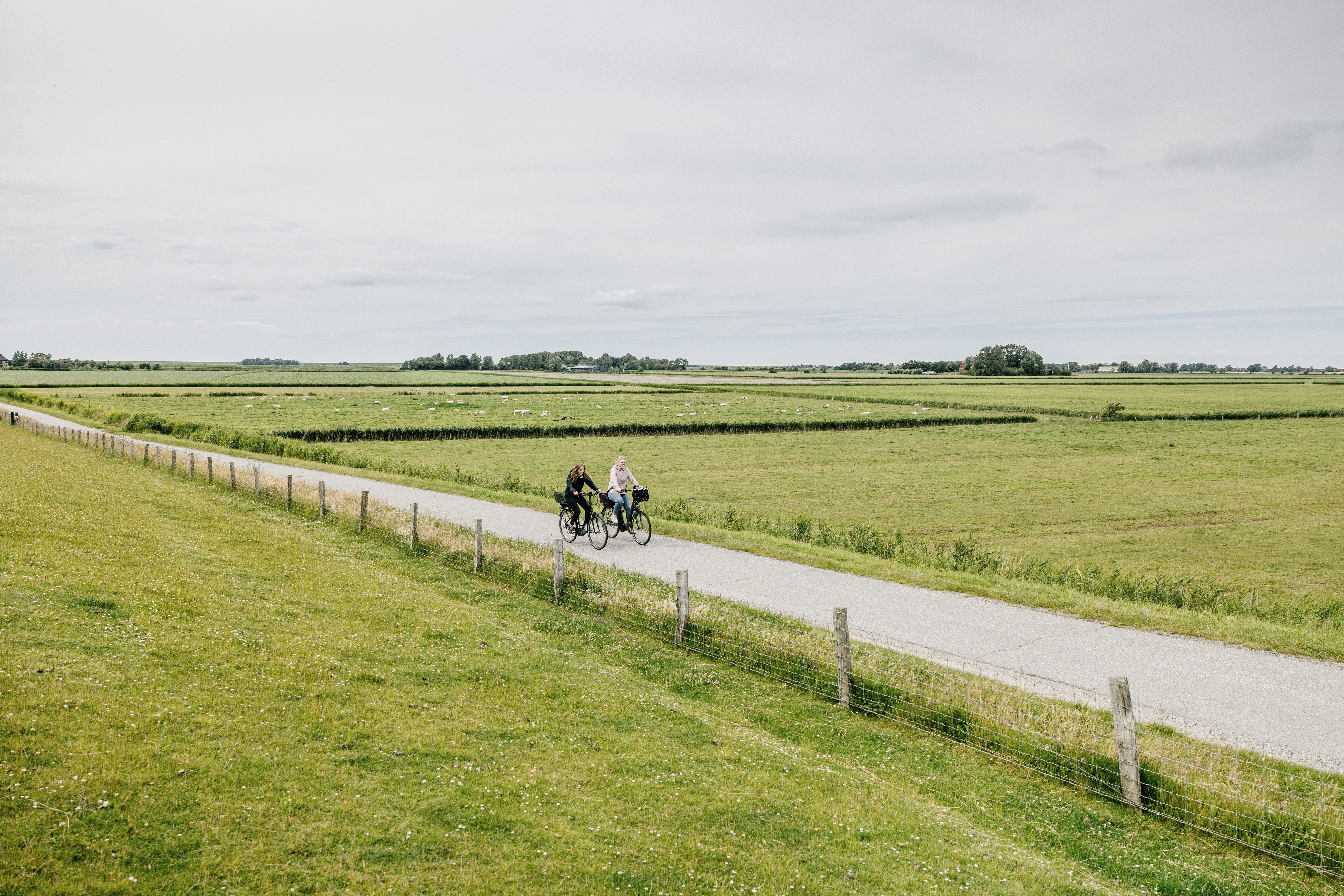 Zwei Radfahrerinnen fahren auf einem Weg durch Wiesen. 