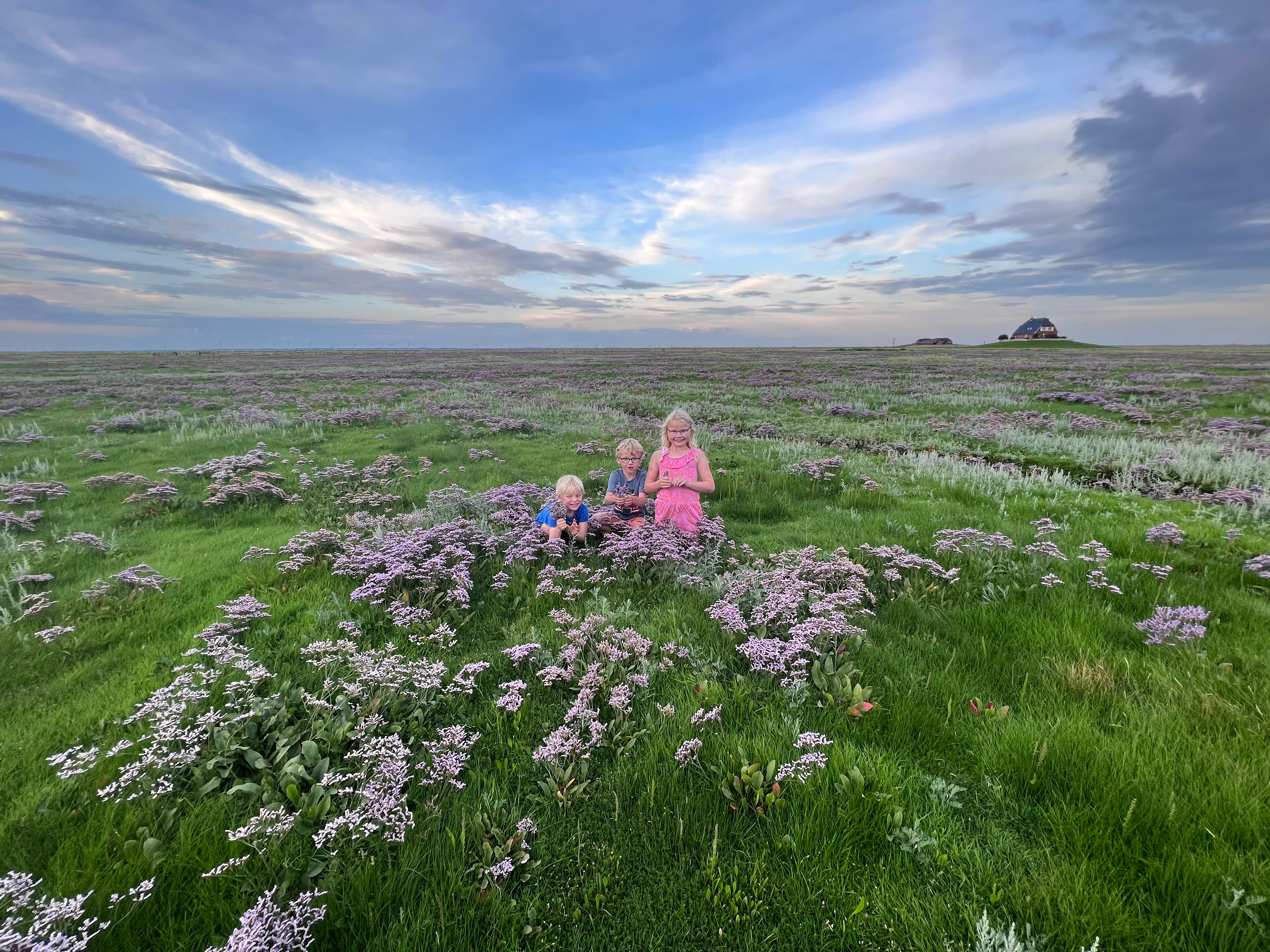 Drei Kinder stehen auf einer Salzwiese auf einer Hallig. Verlinkung zur Unterseite "Halligen".