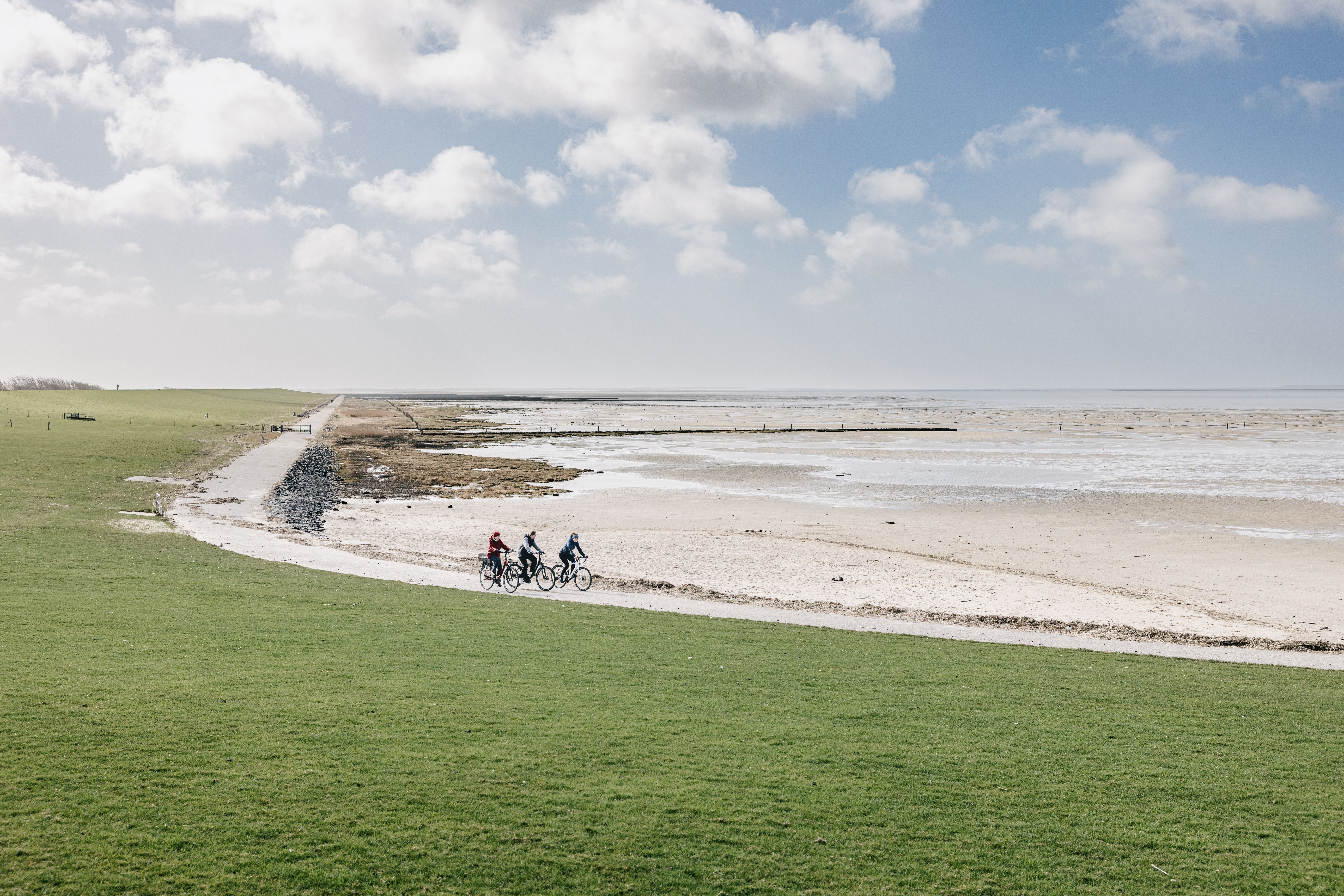 Drei Frauen fahren Rad entlang der Nordsee am Deich. 